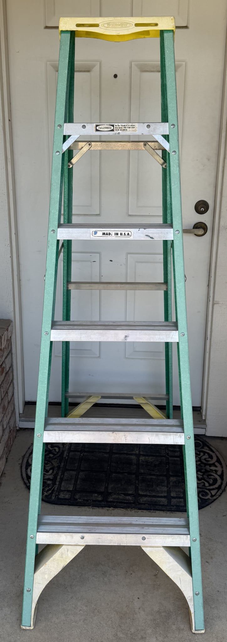 Werner 6' Ladder