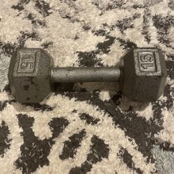 15 Pound Dumbbell 