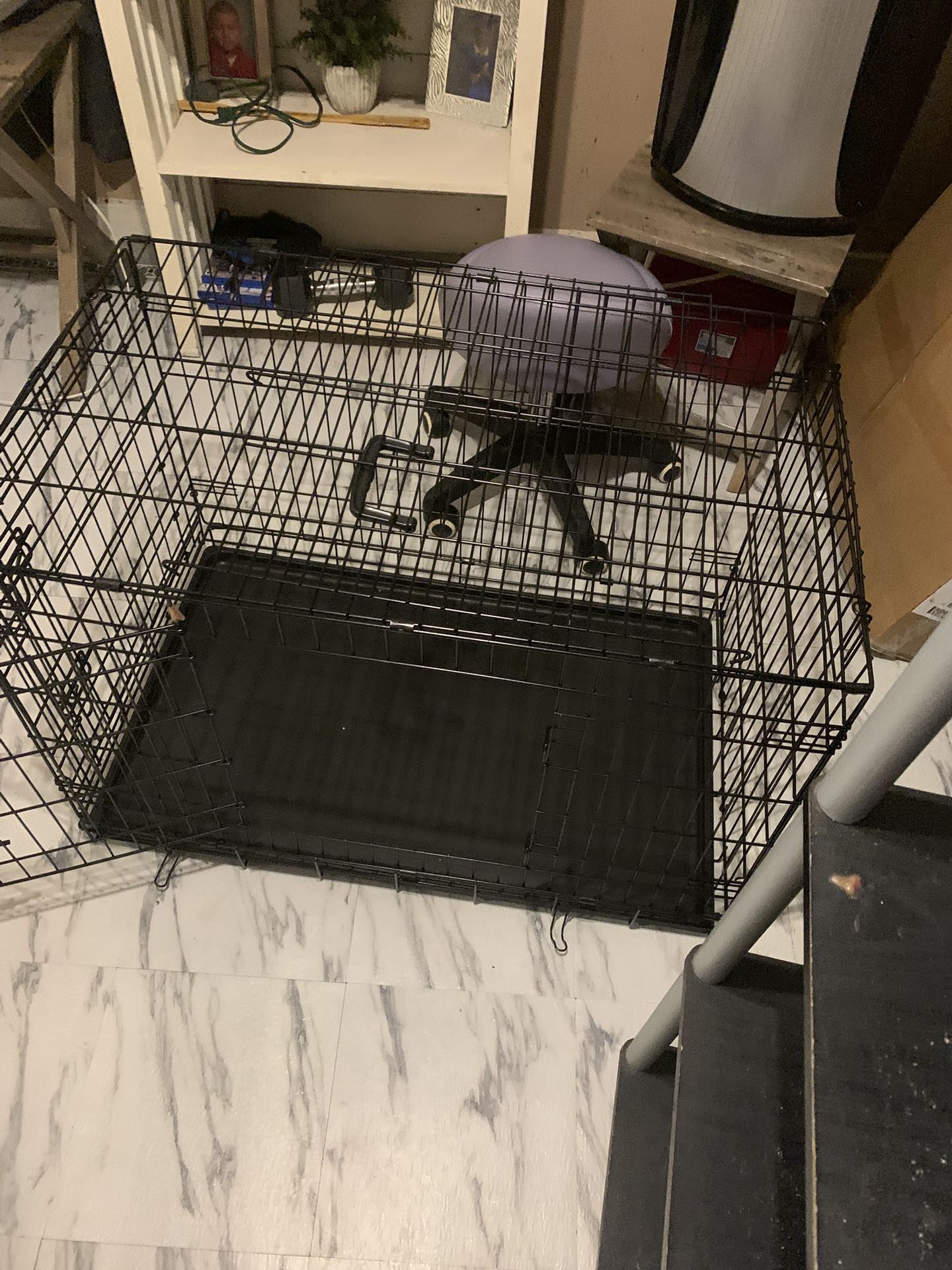 Dog Training Kennel