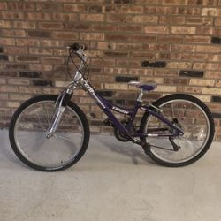 Trek 220 Mountain Bike Purple.  $350+