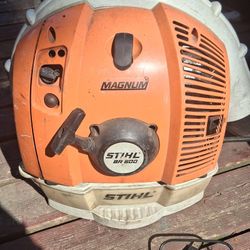 Stihl BR 600 Backpack Leaf Blower 