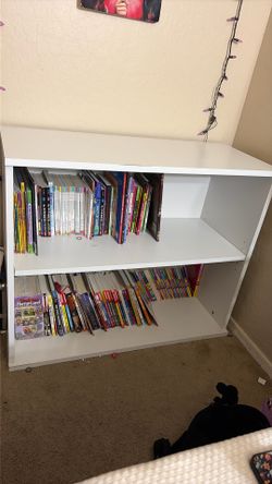 Bookshelves with books included