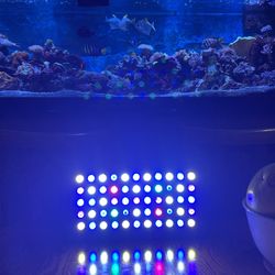 Aquarium LED Light For Reef Tank