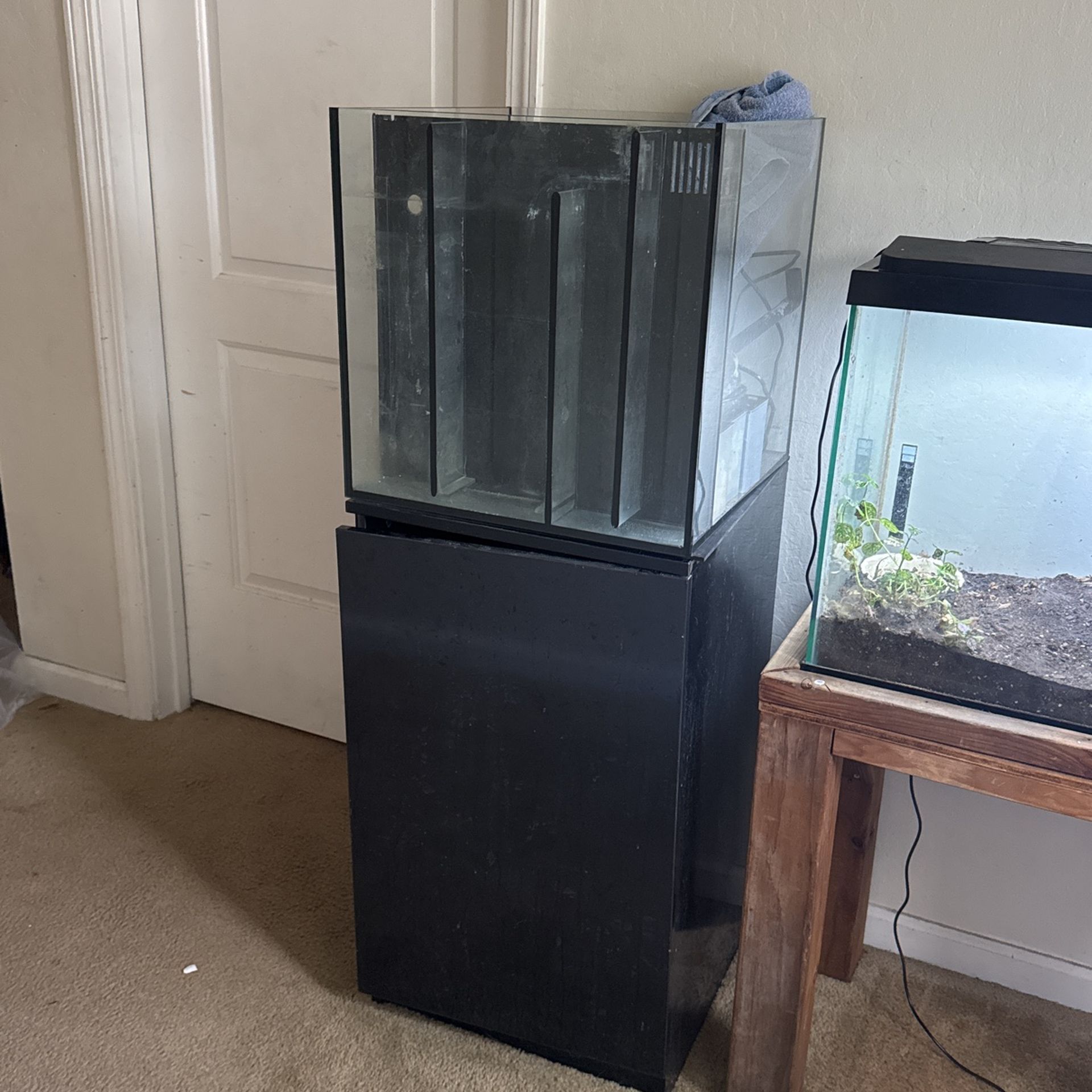 20 G Saltwater Tank