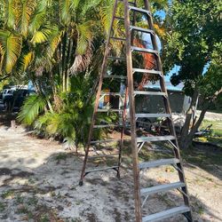 12ft  ladder
