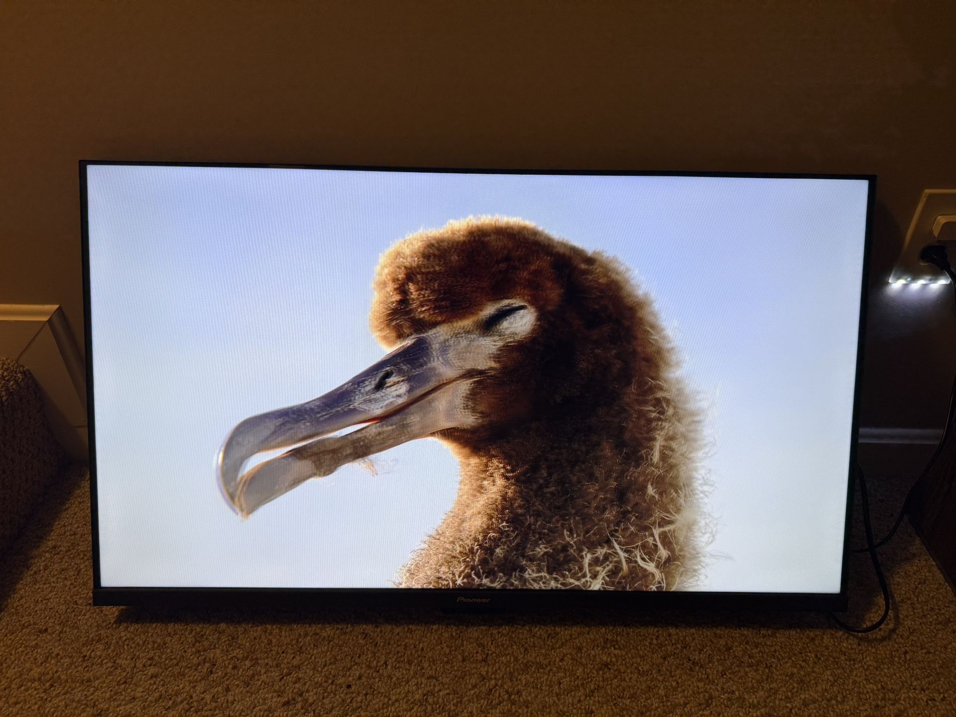 40 Inch pioneer LED Tv