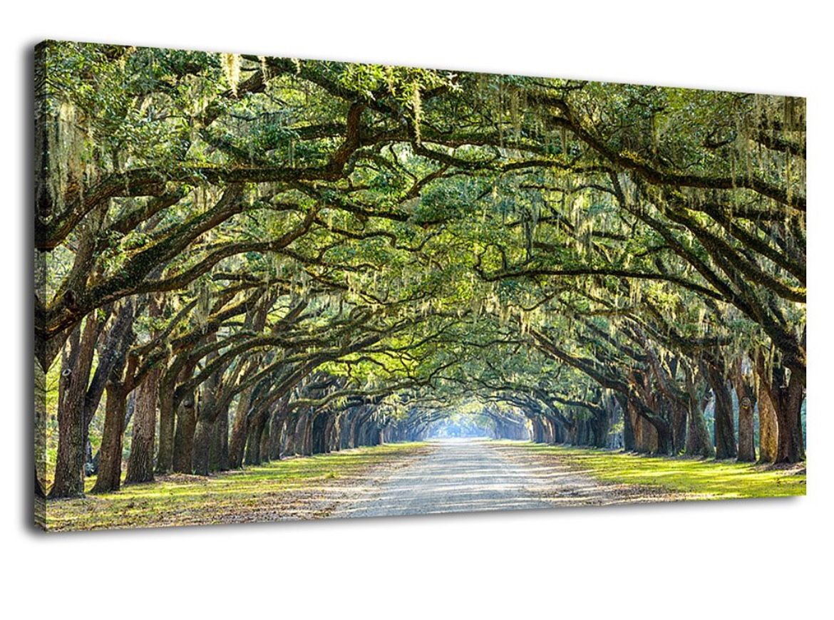 Green Forest Wall Art, Nature Canvas Print, Landscape Canvas Art for Home Wall Decor, Large Canvas