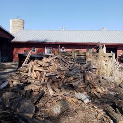 Firewood