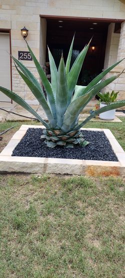 Landscaping Work Pavers Stone Gravel And More Good Work Good Price 