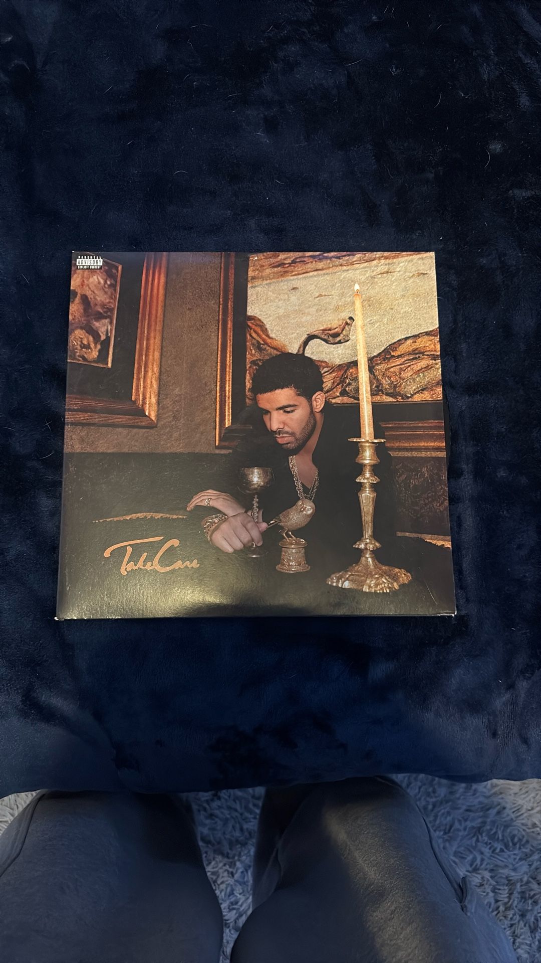 Drake Take Care Vinyl