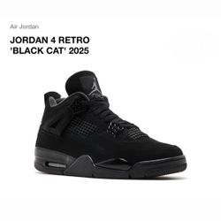 2025 Jordan 4 Size 10.5