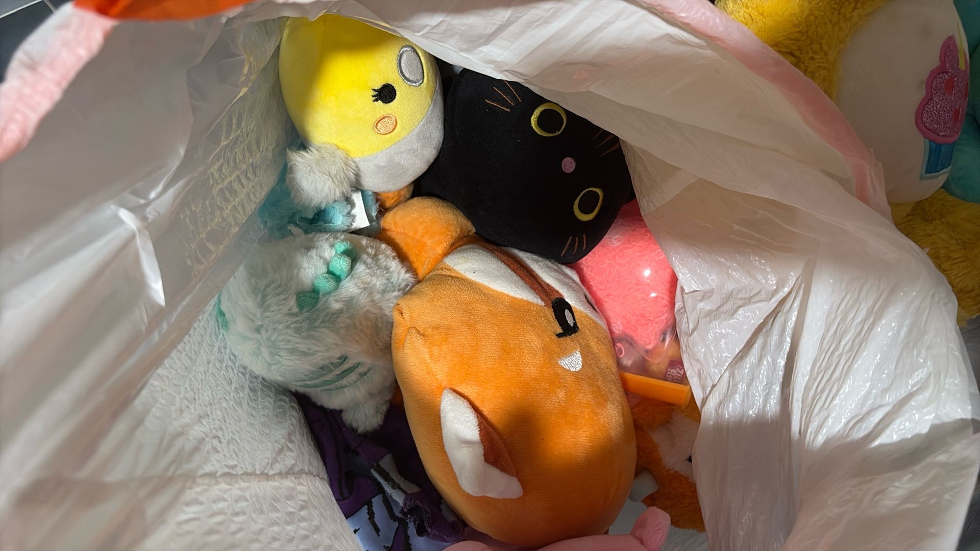 Bag Full Of Plush Care Bears 🐻 , Disney Etc.