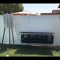 Birds Coop