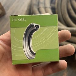 Oil Seal 