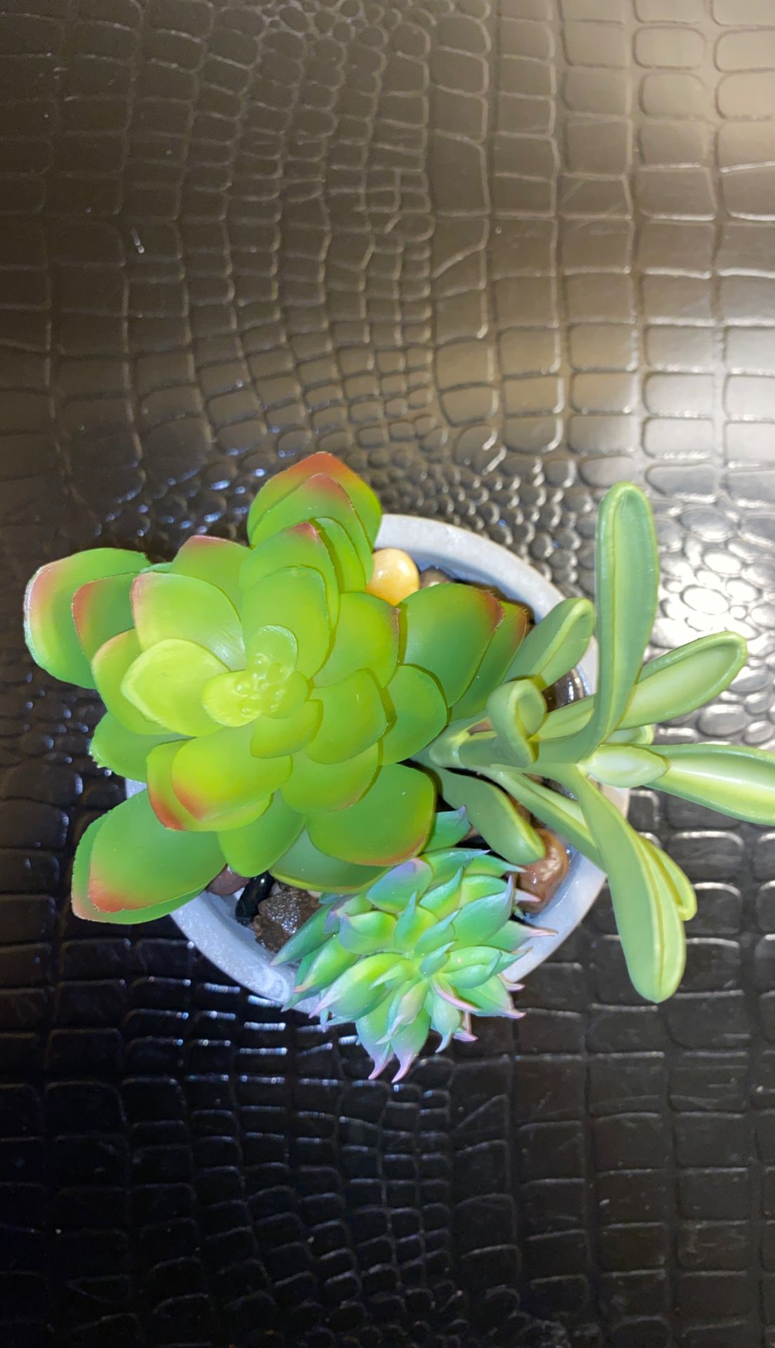 Cute fake plant in suction cup