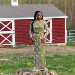 Elegant Evening Gown Haute Glamour Elegant Mock Neck Mermaid Hem Graphic Sequin Formal Party Dress