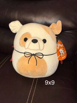 Squishmallows Brock Dog Halloween Plush Toy