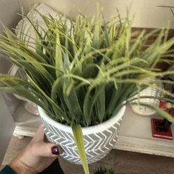 Fake Decor Plant 