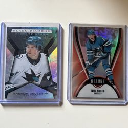San Jose Sharks 