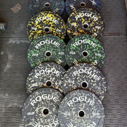 ROGUE FLECK Olympic weights 260lbs total