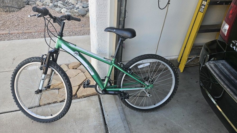 Cobra 24 Dimond Back, Kids Sized