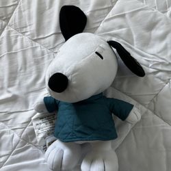 Snoopy stuffed animal 