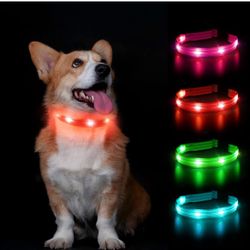 LED Dog Collar Light Up Flashing Rechargeable Waterproof Adjustable X small
