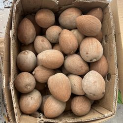 Mamey Caja De 50 Libras $75