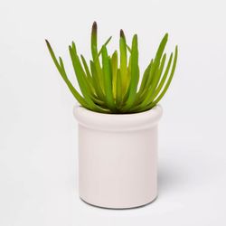 7in x 3.7in Artificial Succulent in Pot White - Threshold™