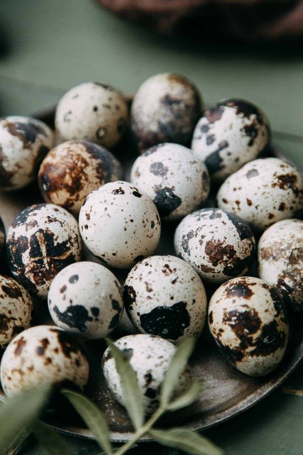 Huevos Godorniz, Codorniz De Rancho