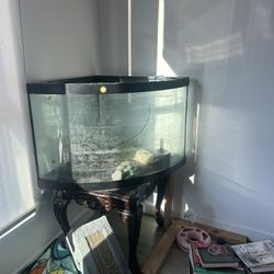 45 gallon? corner aquarium 
