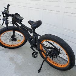 Ecotric Super Cool Beach/Snow E Bike 