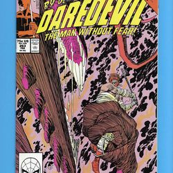 Daredevil comic book collection