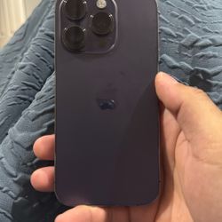 iPhone 14