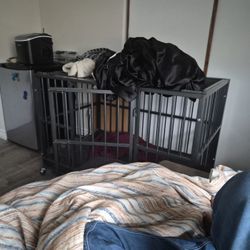 Dog Cage