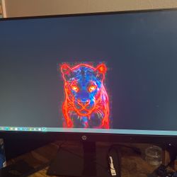 27in Hp Monitor 