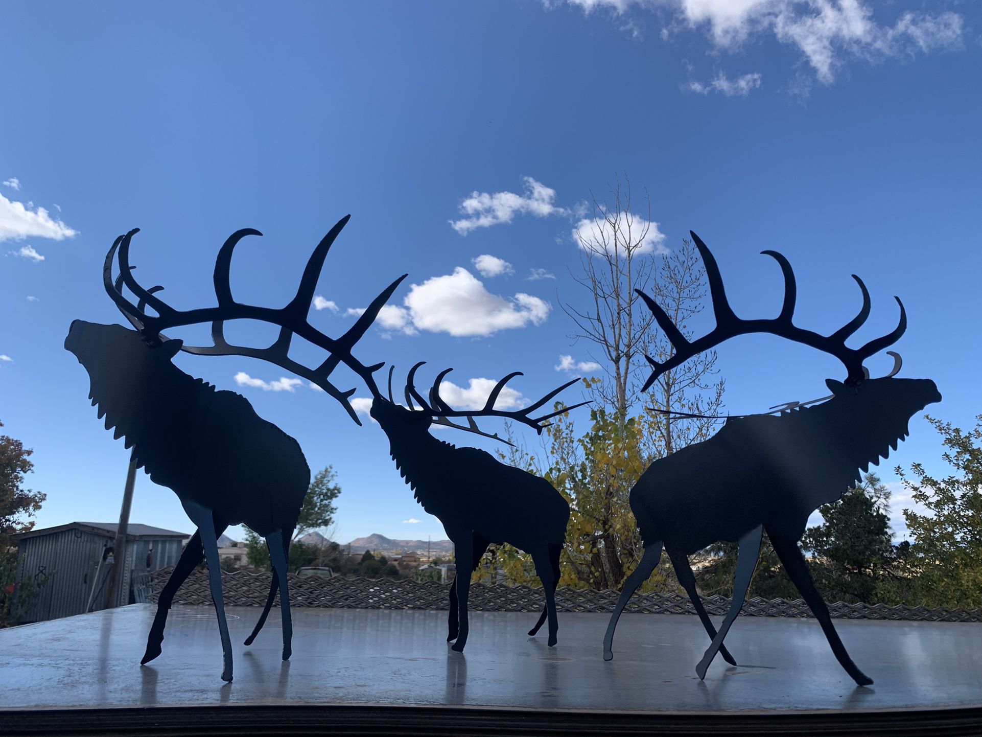 3-D Elk 17” Long 15” Tall $35 Each