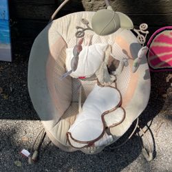 Baby Bouncer