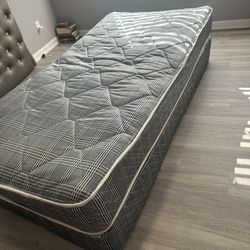 TWIN BOX SPRING AND MATTRESS 