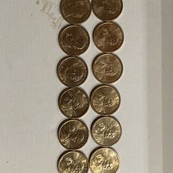 12 Coins Of One Dollar 