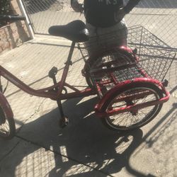 E-wheels Tricycle E Bike 