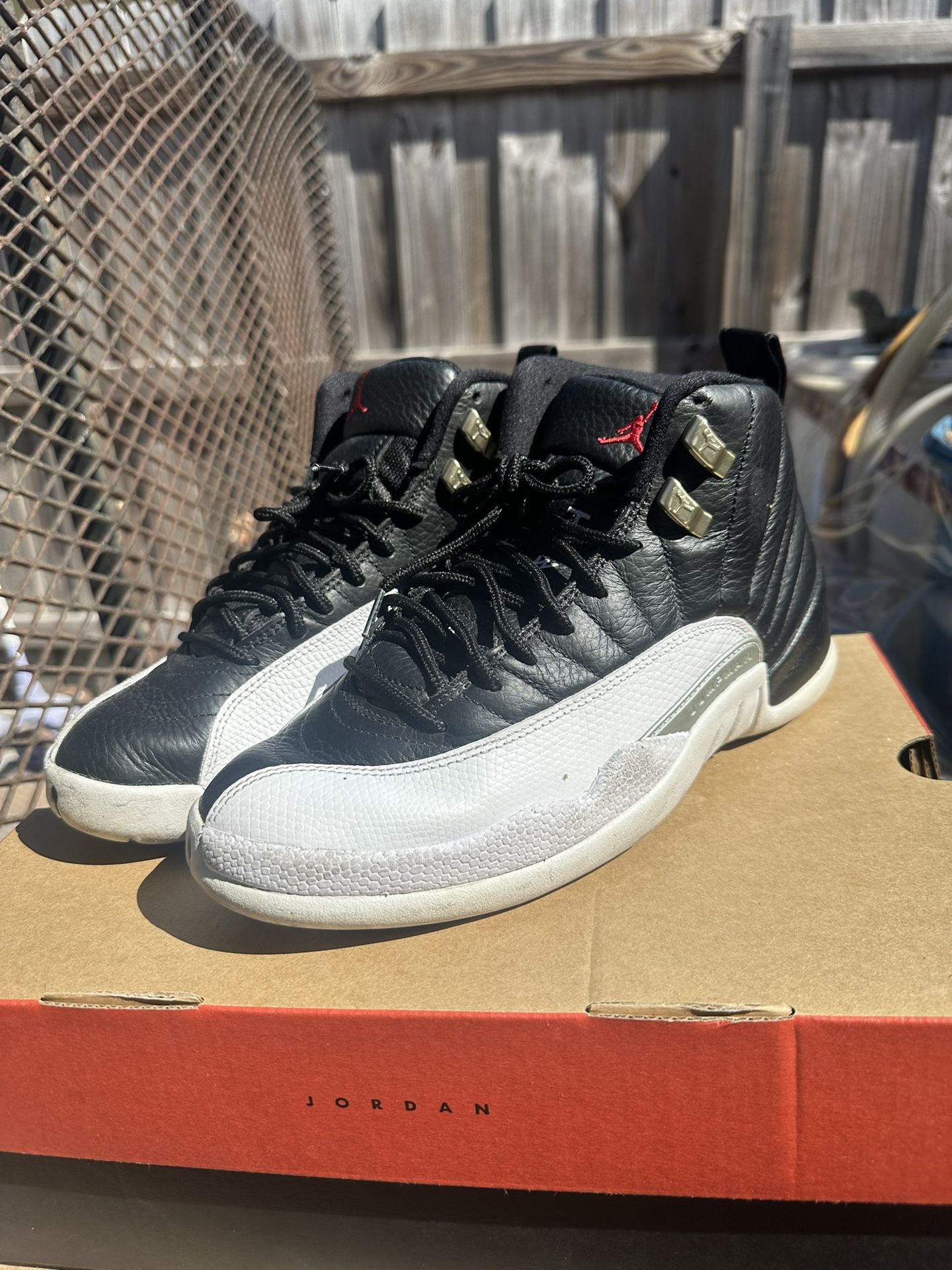 Air Jordan 12