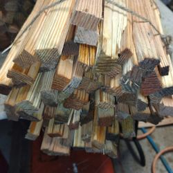 Doug Fir 