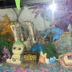Fish Tank With Lots Of Stuff