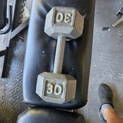 30 Lbs Dumbbell 