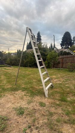 10 Foot Pruning Ladder