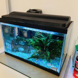 Aquarium 10 Gallons With Fish 