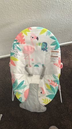 Baby Bouncer