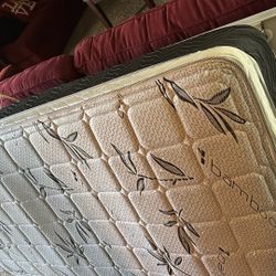Twin Mattress $35
