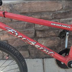 FREE AGENT 20" BIKE